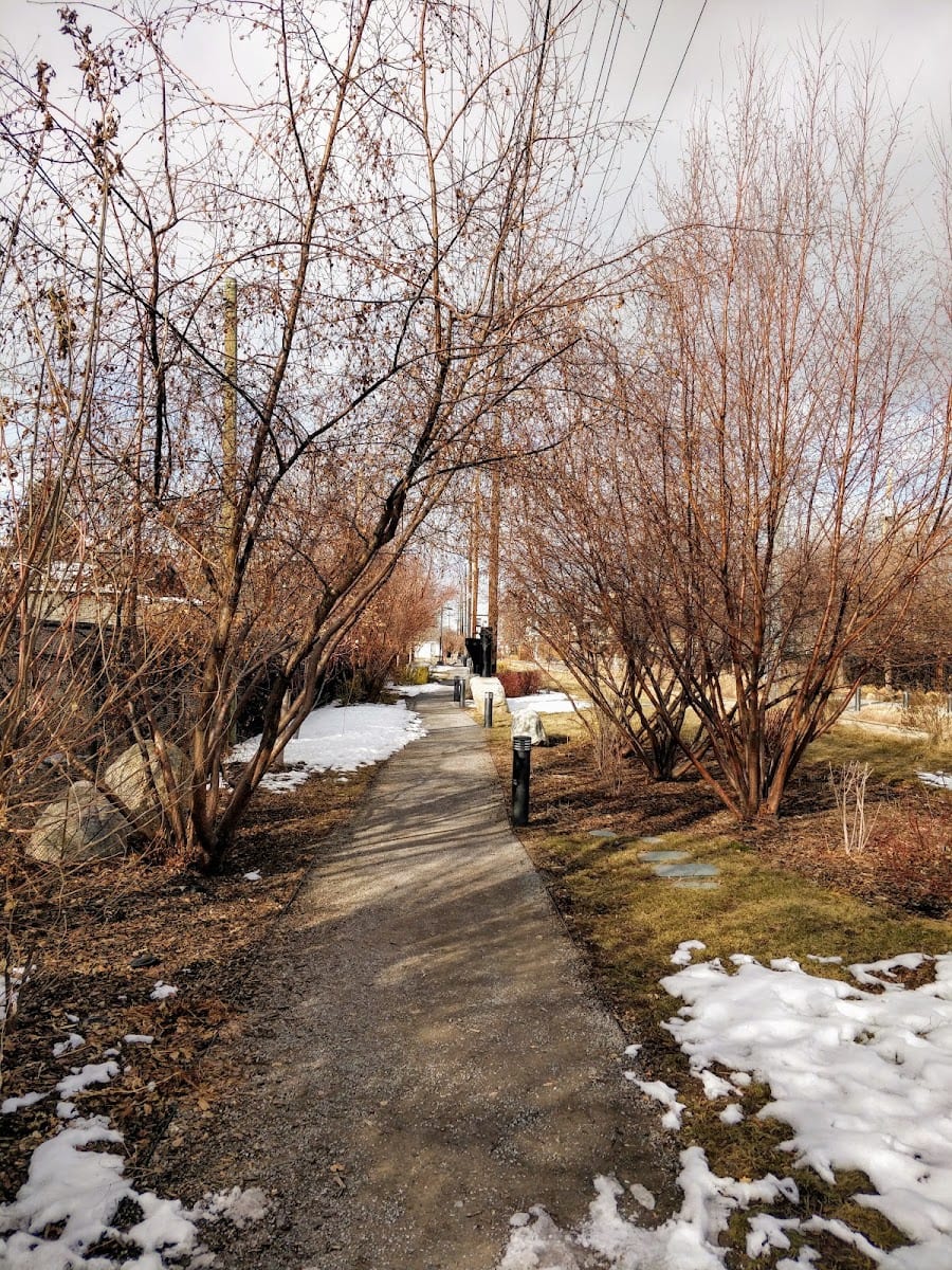 S-Line Greenway, photo 2