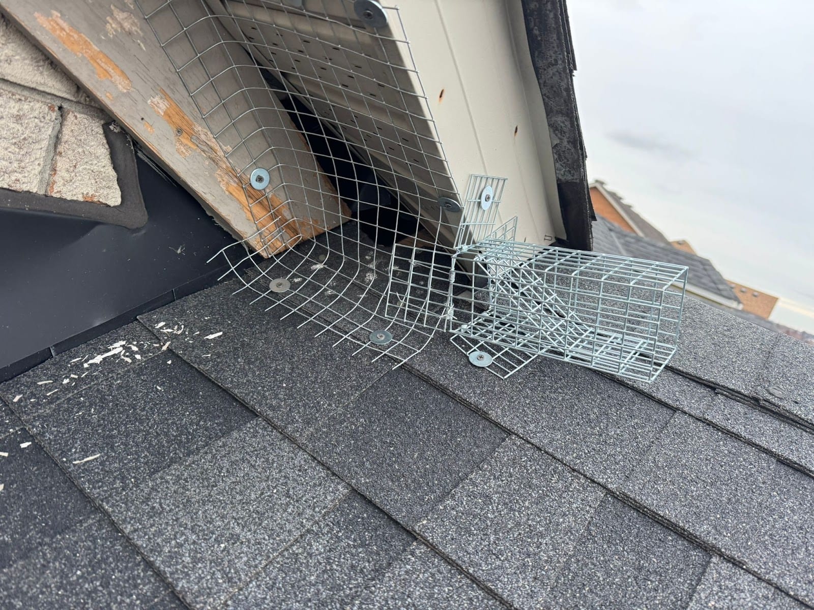 Quality pest control gta Richmond hill