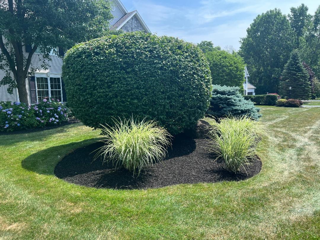 Avery Property Services, photo 4