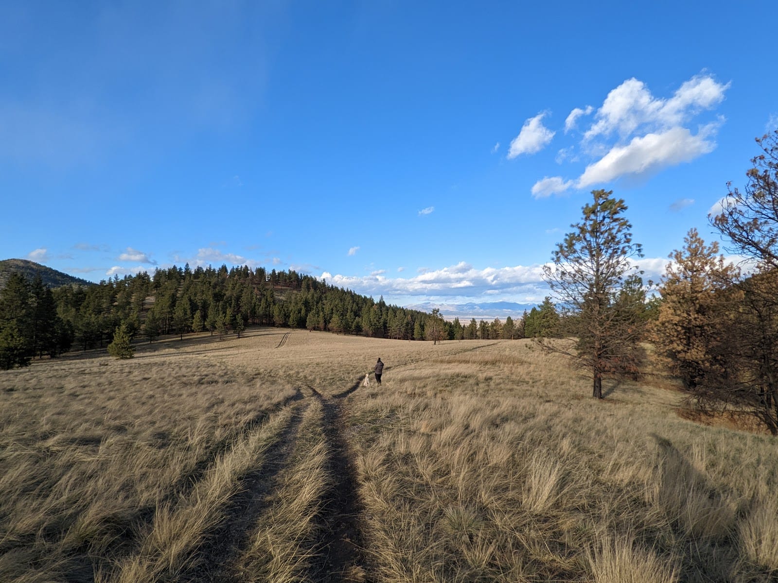 Old Shooting Range Trailhead