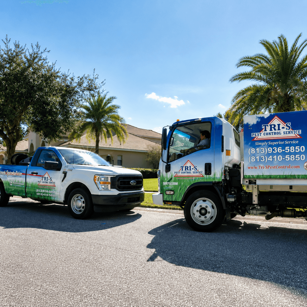 Tri-S Pest Control, photo 3