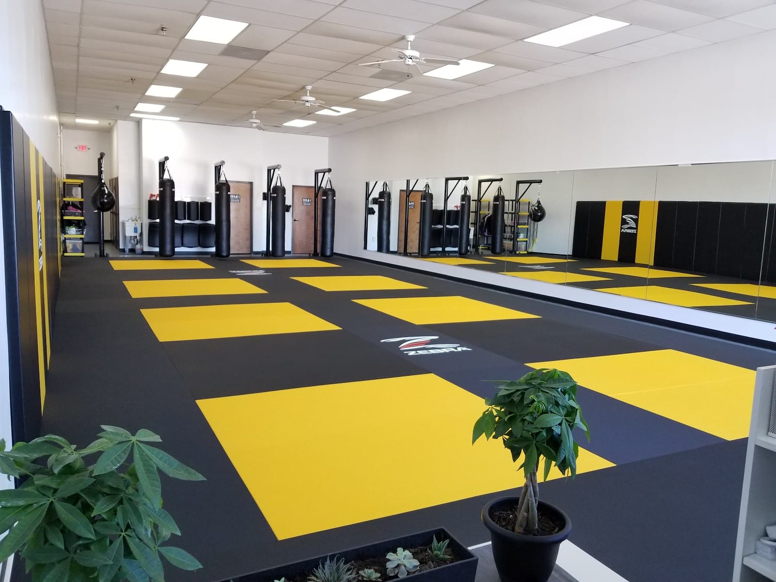 LP Martial Arts, photo 4