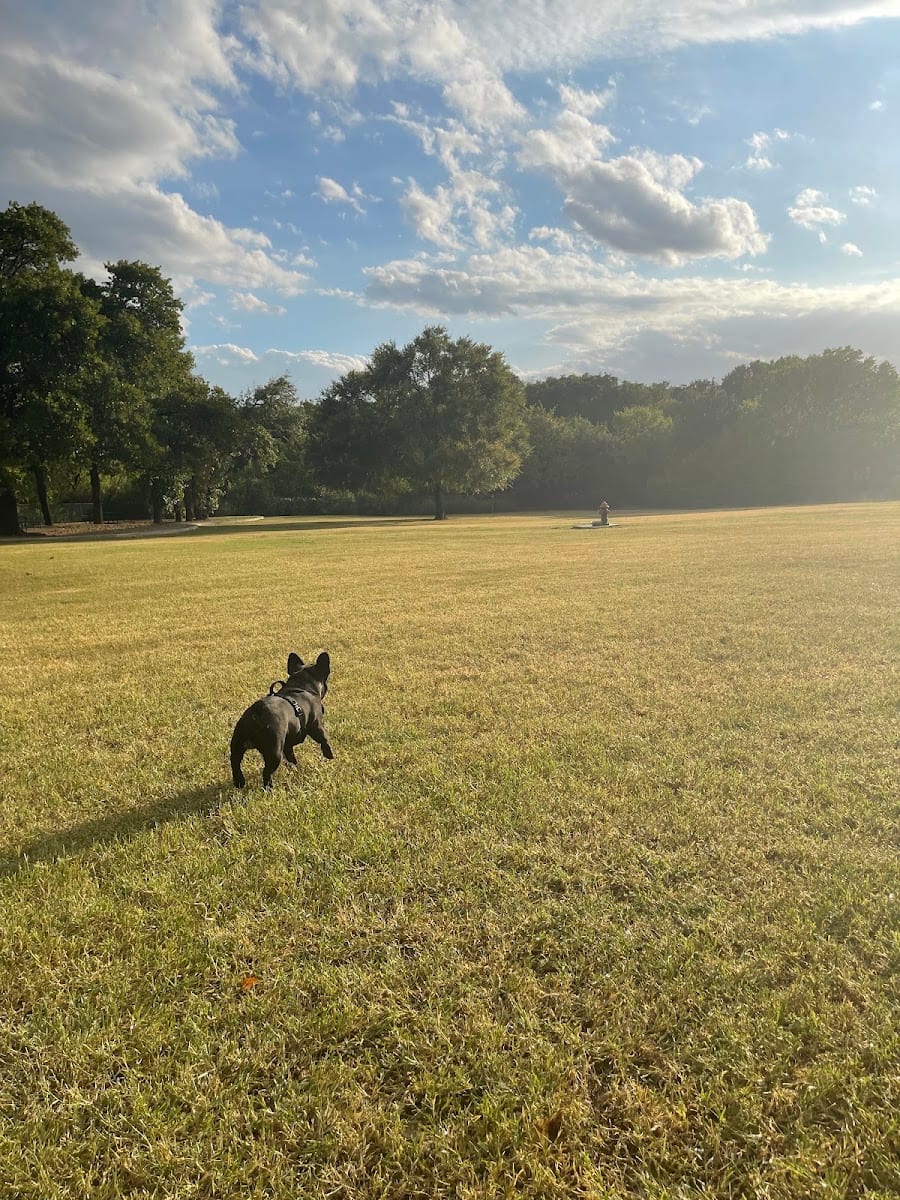 Wiggly Field Dog Park