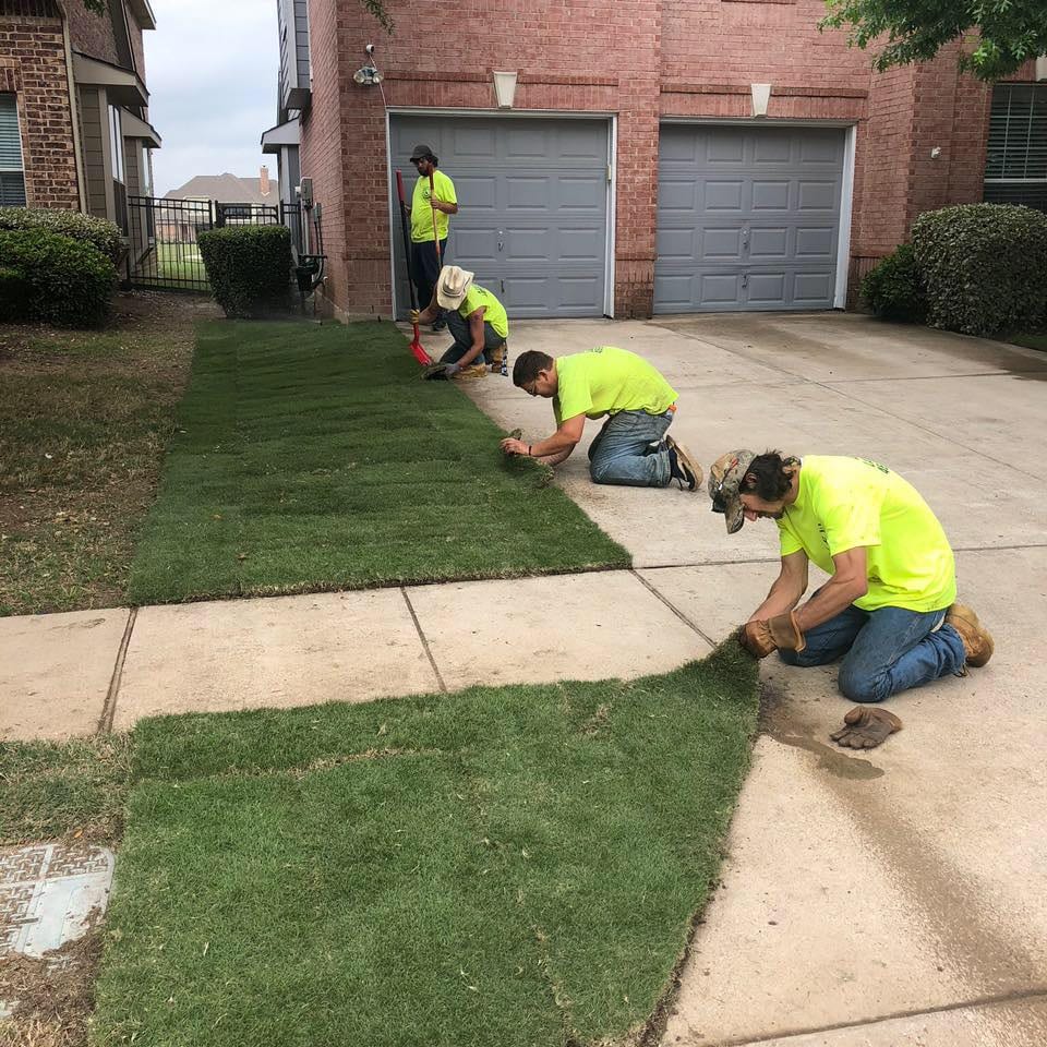 A Cut Above Landscaping, Inc