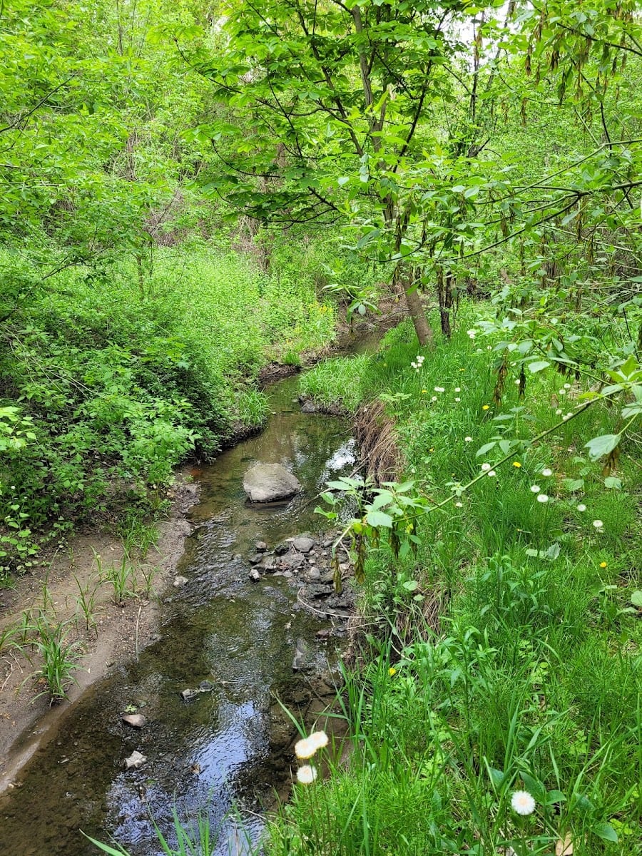 Vyner Greenbelt, photo 2