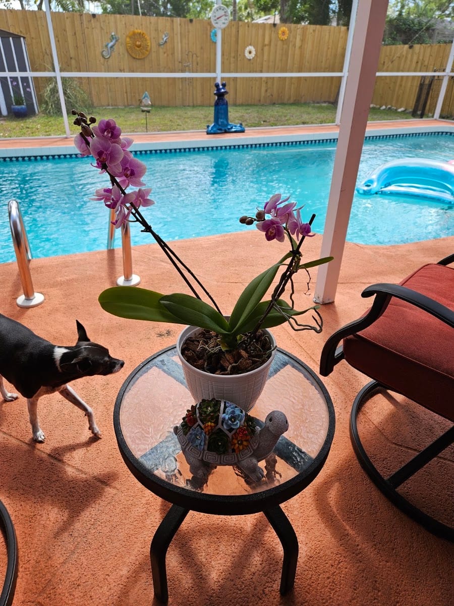 Gina Richardson's Pool Management