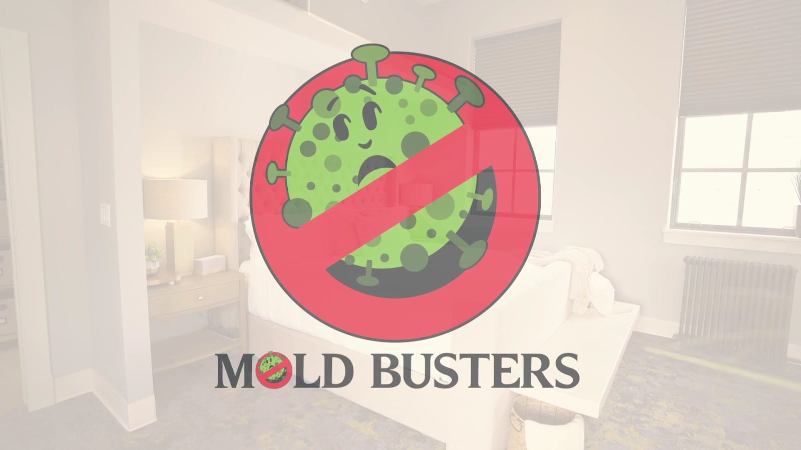 Mold Busters Logan, photo 3