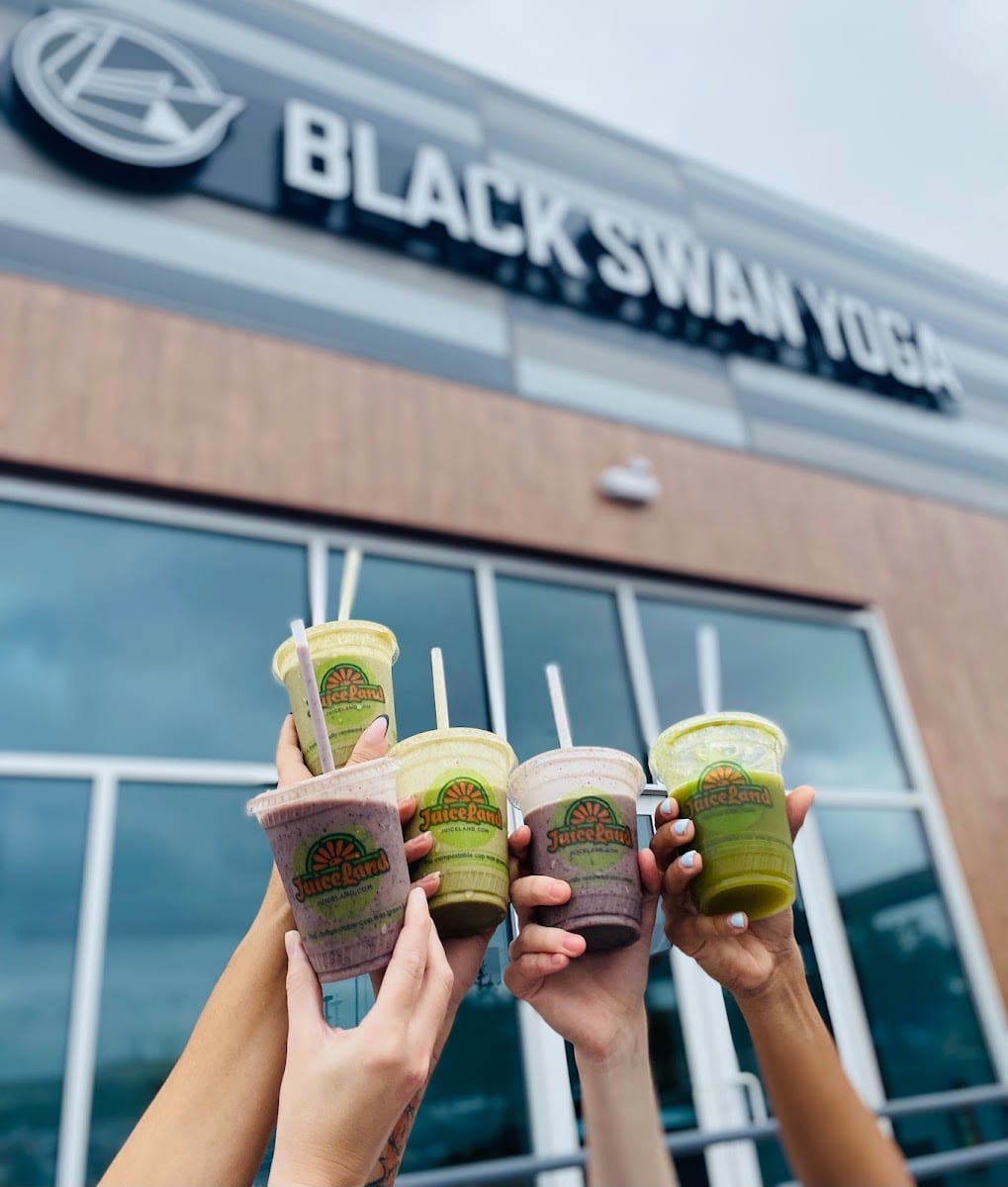 Black Swan Yoga - Round Rock, photo 4