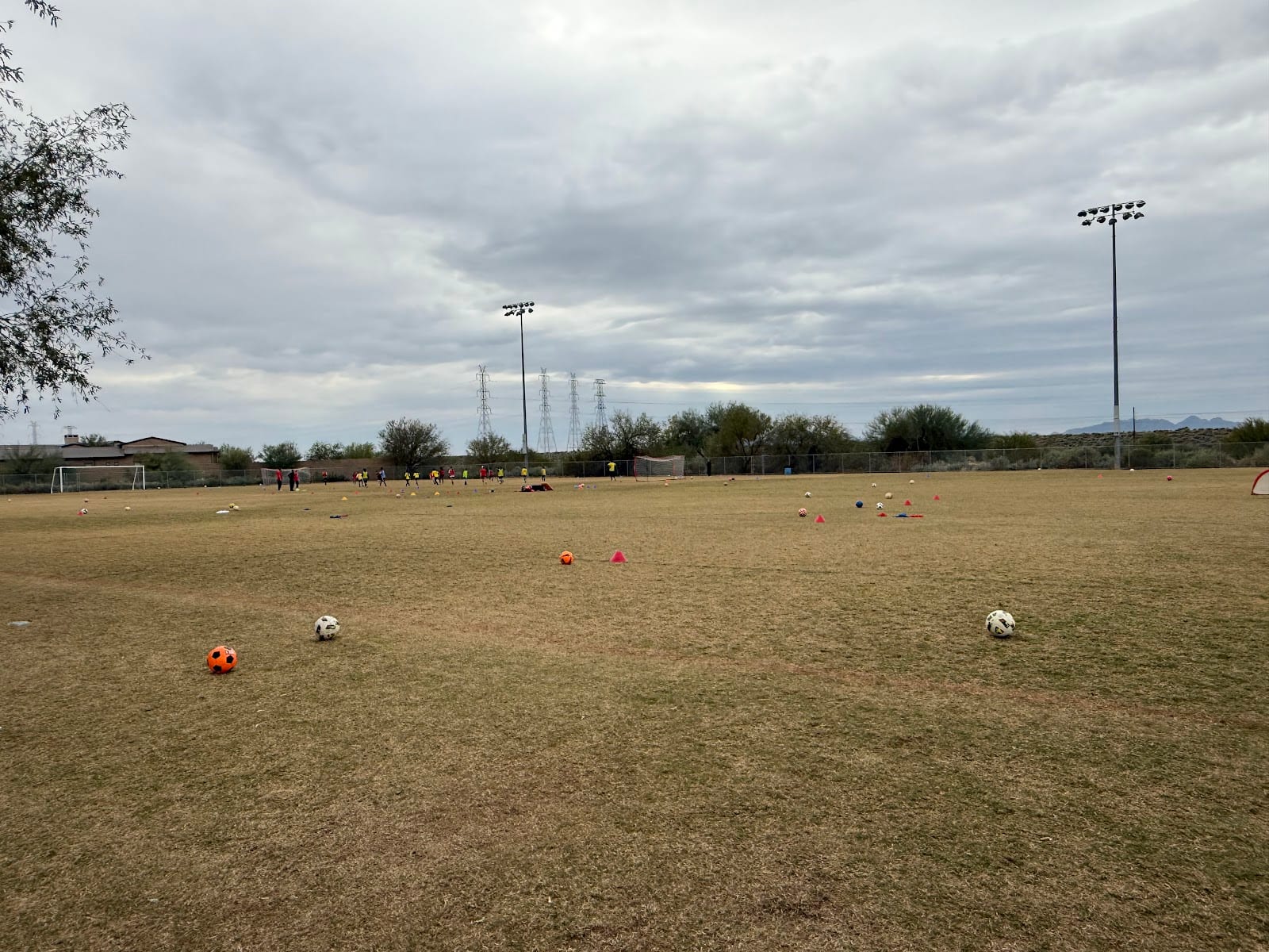 North Scottsdale Sandsharks Soccer