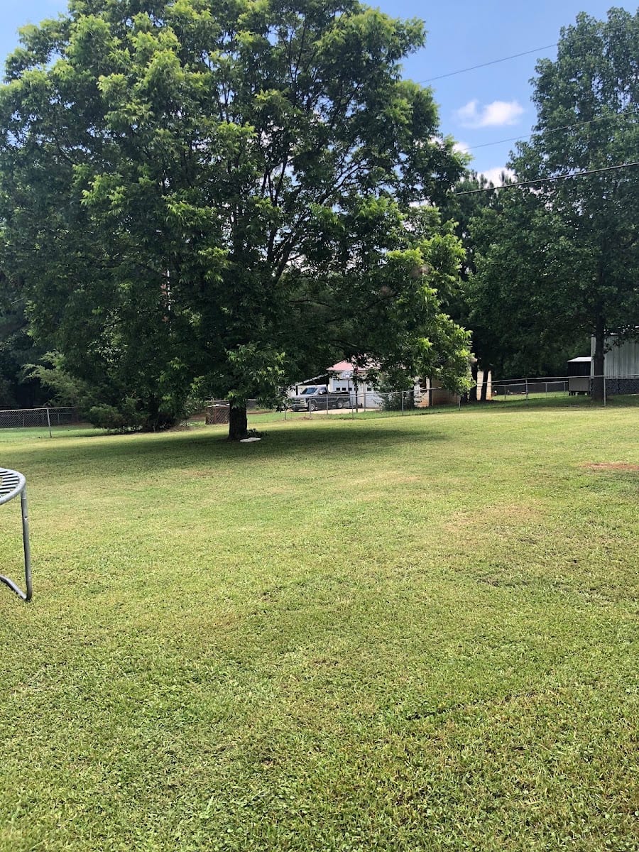 Precision lawn care