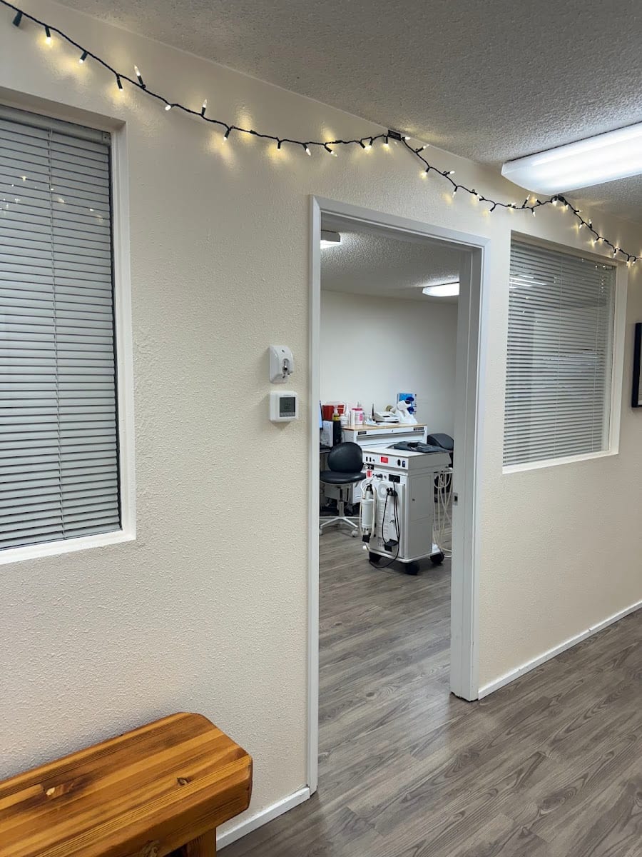 101 Dental