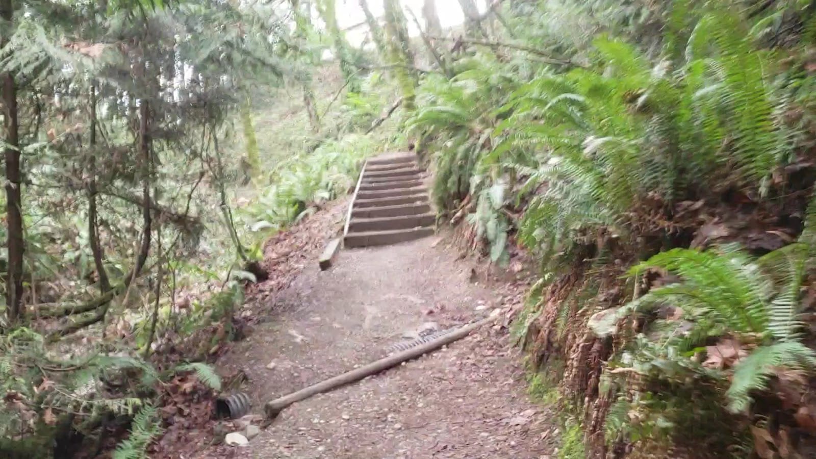 Garfield Nature Trail Park, photo 2