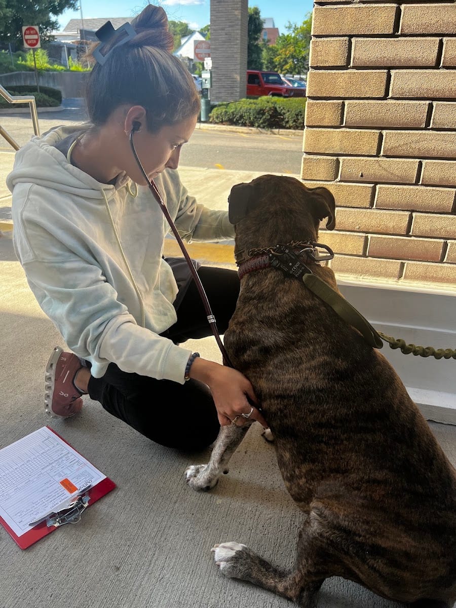 Oradell Animal Hospital - Paramus, photo 4