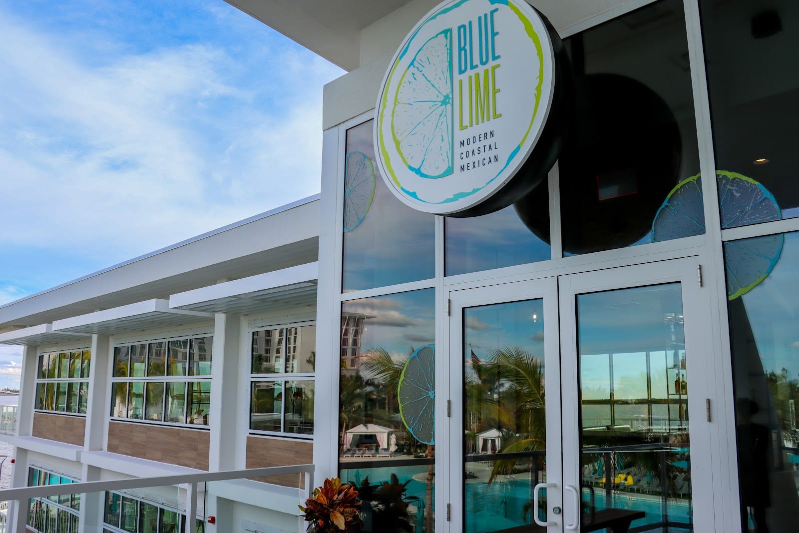 Blue Lime, photo 2