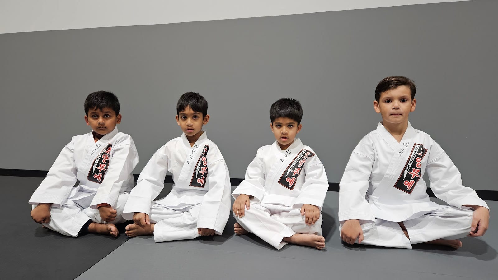 TIGER SUN MARTIAL ARTS LITTLE ELM / PROSPER KARATE TAEKWONDO