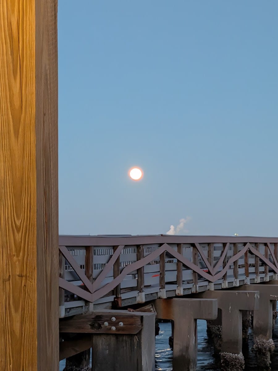 leon's (ice cream on pier), photo 3
