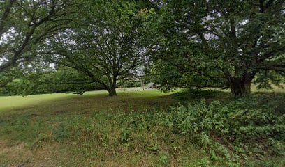 Marshalls Heath Lane Playground