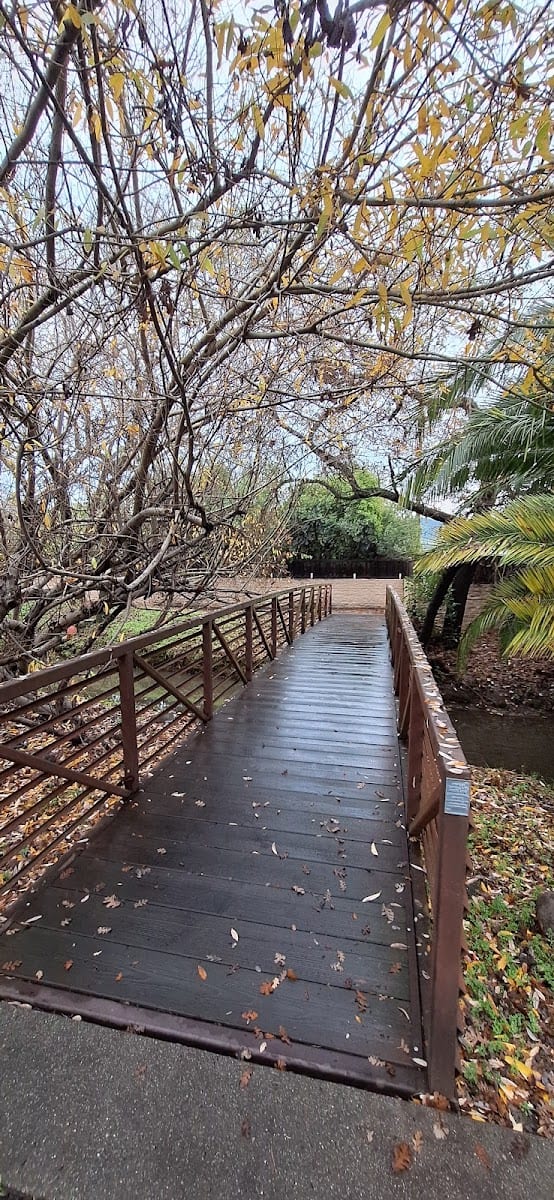 Yountville Shared Use Trail