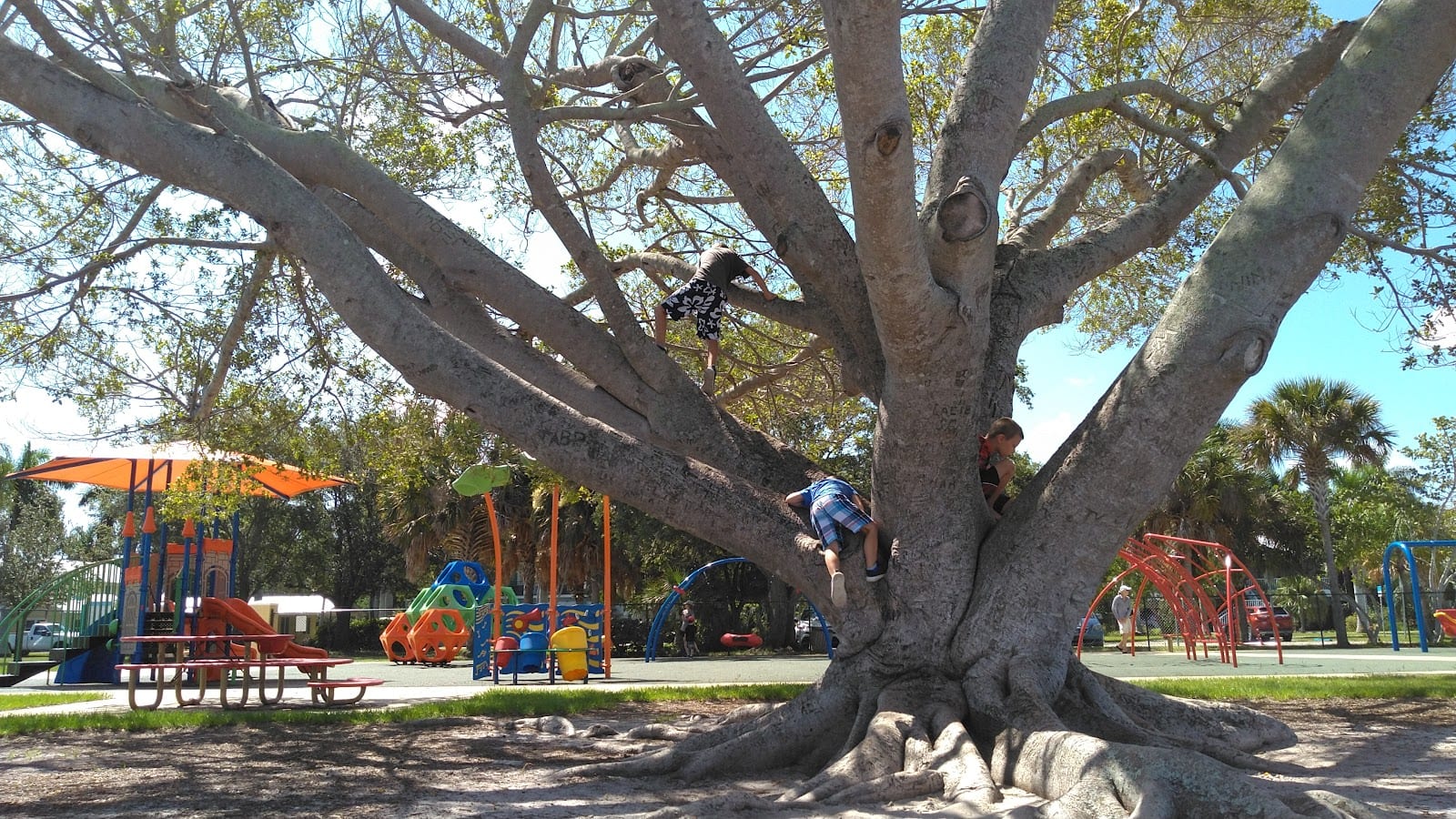 Playground