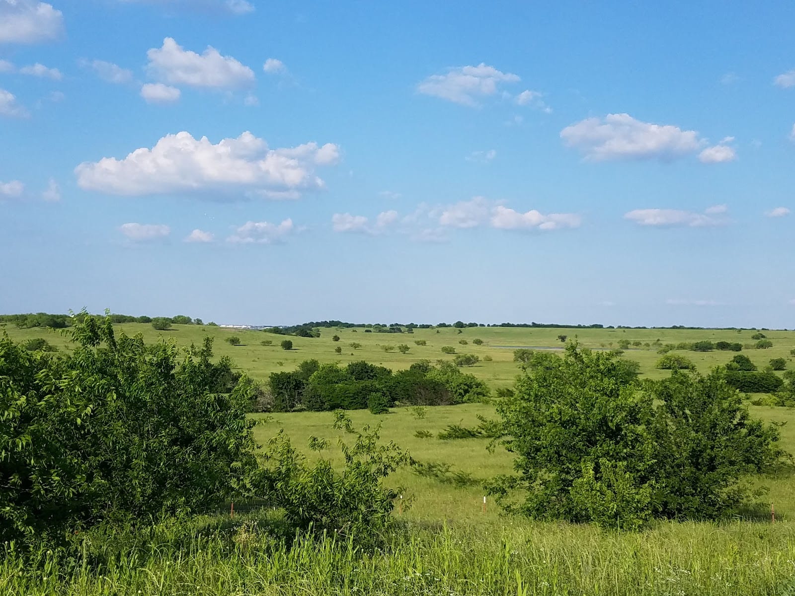 NW Community Park DORBA Trails