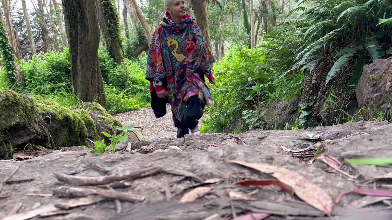 Mount Davidson Paved Path, photo 2