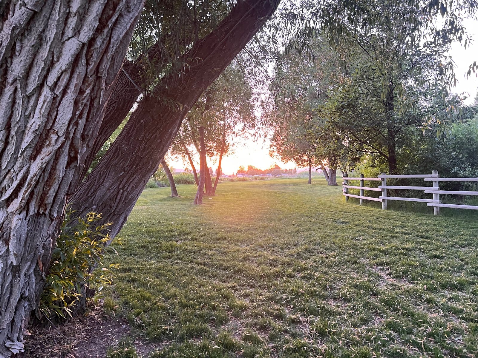 Trapper Park