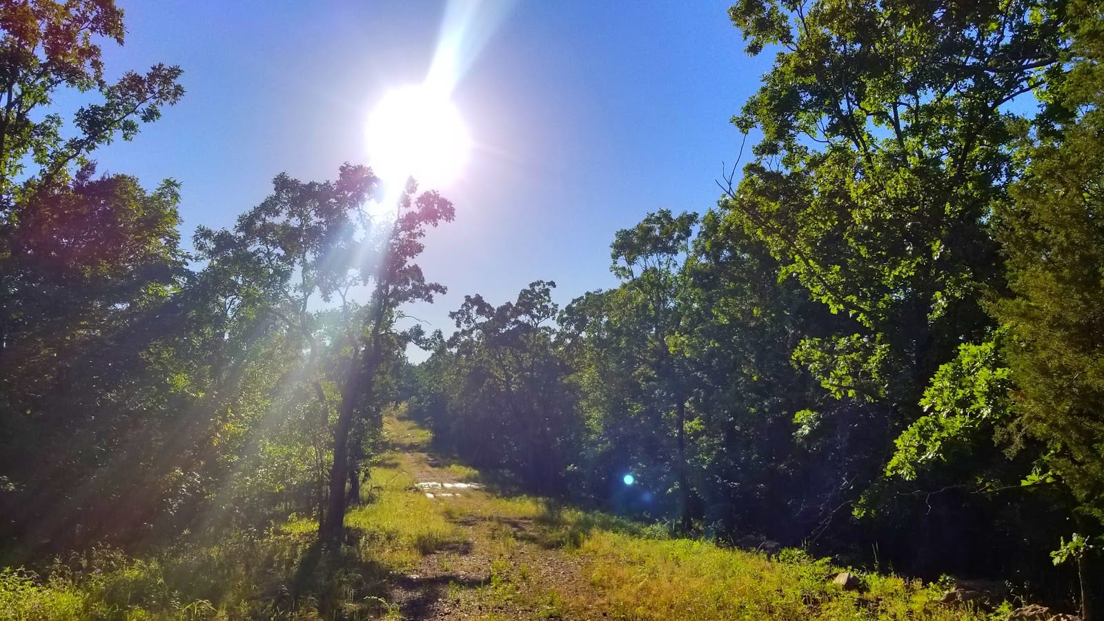 Pinnacle View Trail