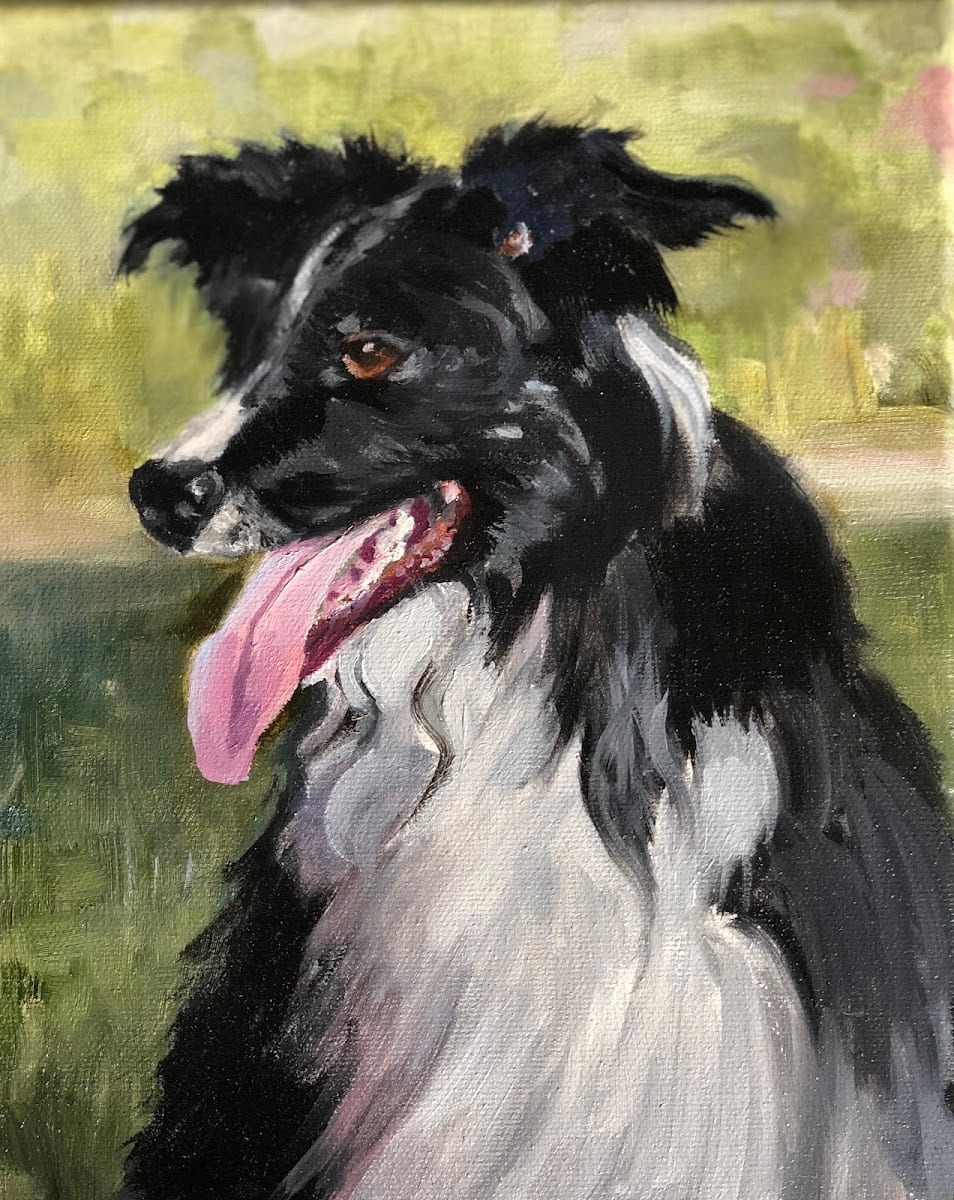 Pet Portrait Studio - Cathy Cole Fine Art