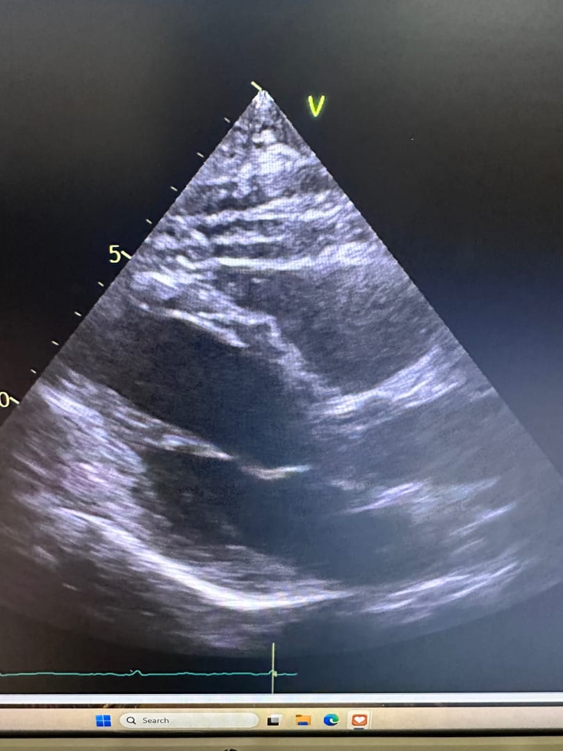 Prime Heart and Vascular, photo 3