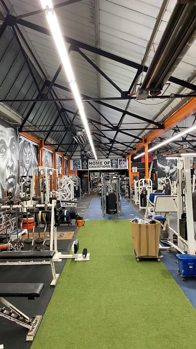 Body Limit Gym