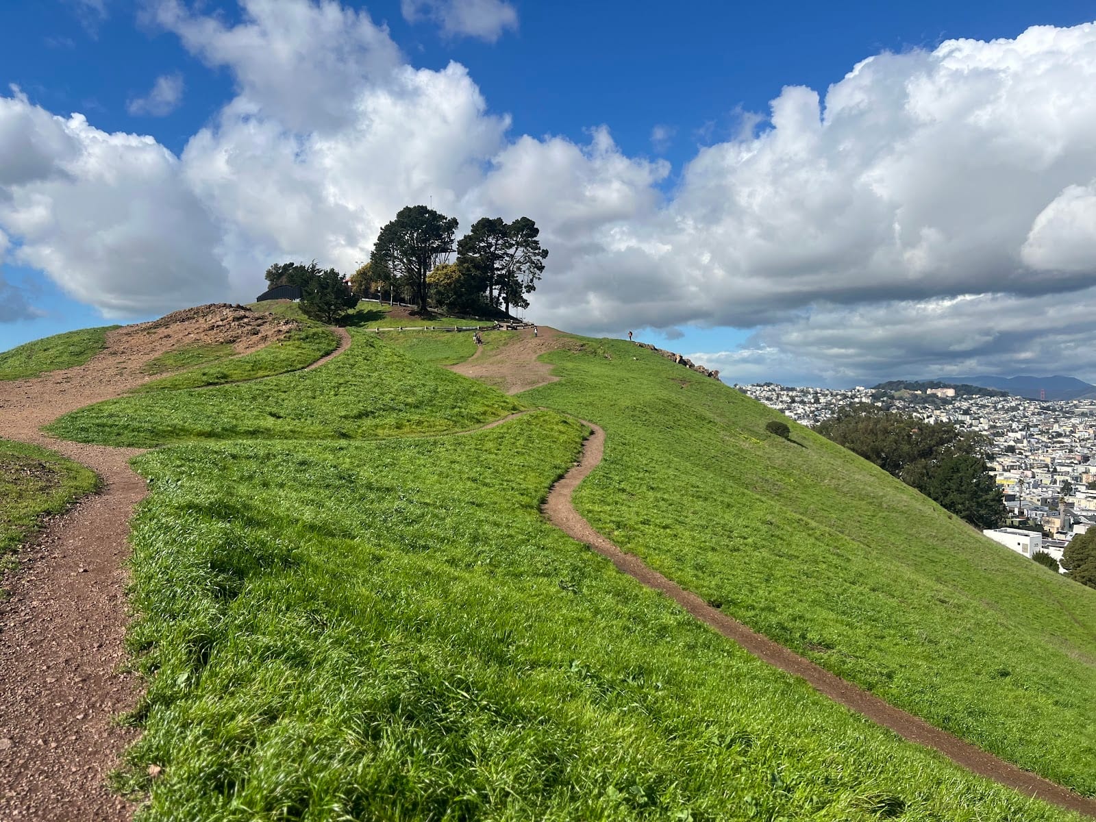 Bernal Heights Park, photo 3