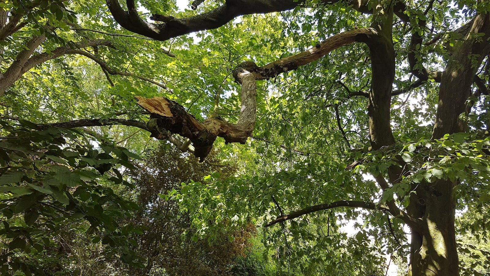 Napsbury Park Historic Park