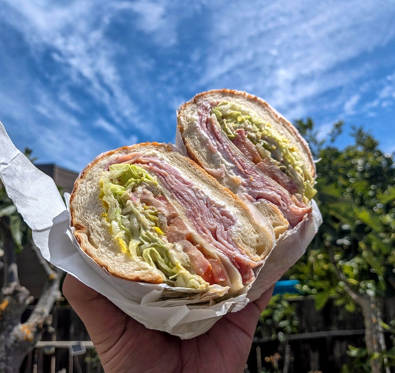 Ocean Subs