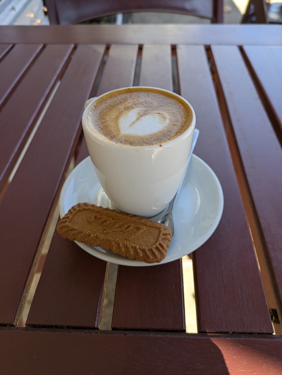 SkyRoast Coffee / Doylestown, PA, photo 2