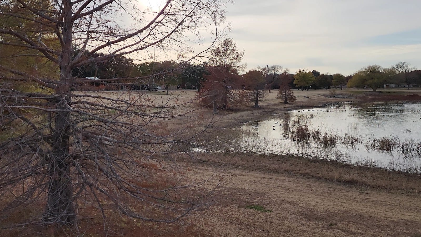 Charles A Guy Park, photo 2