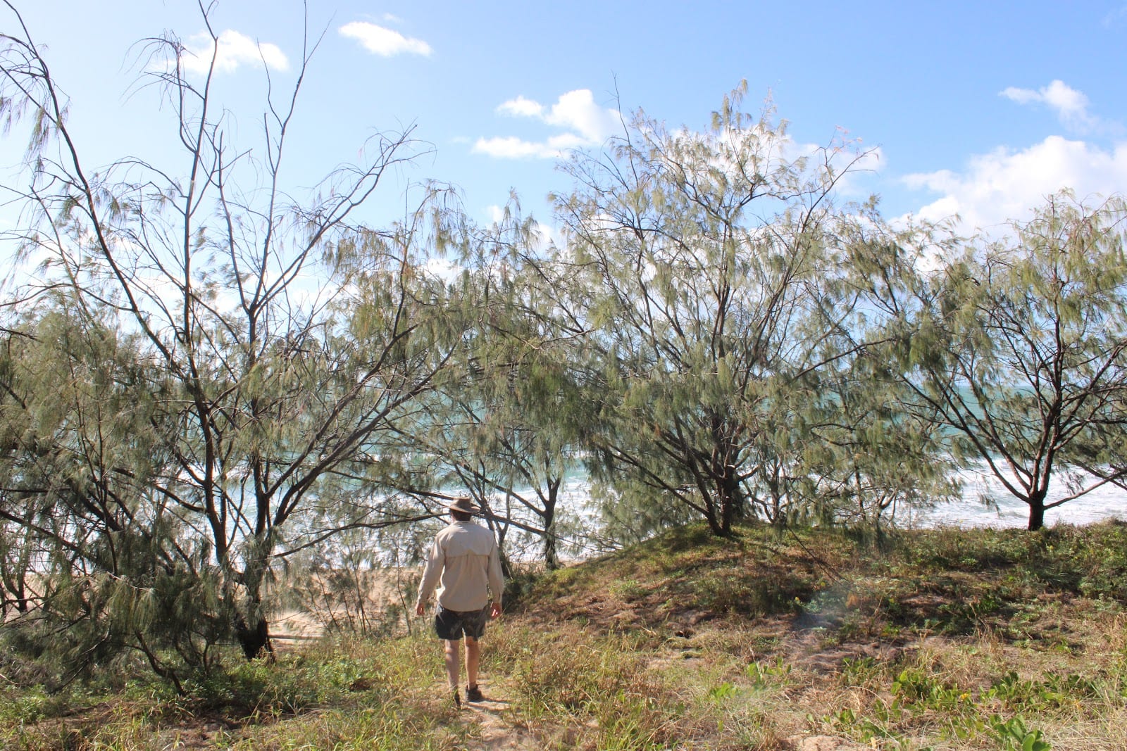Slade Point Natural Reserve Lookout, photo 2