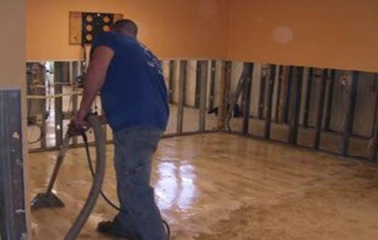 Carpet Doctor Rochester, photo 2