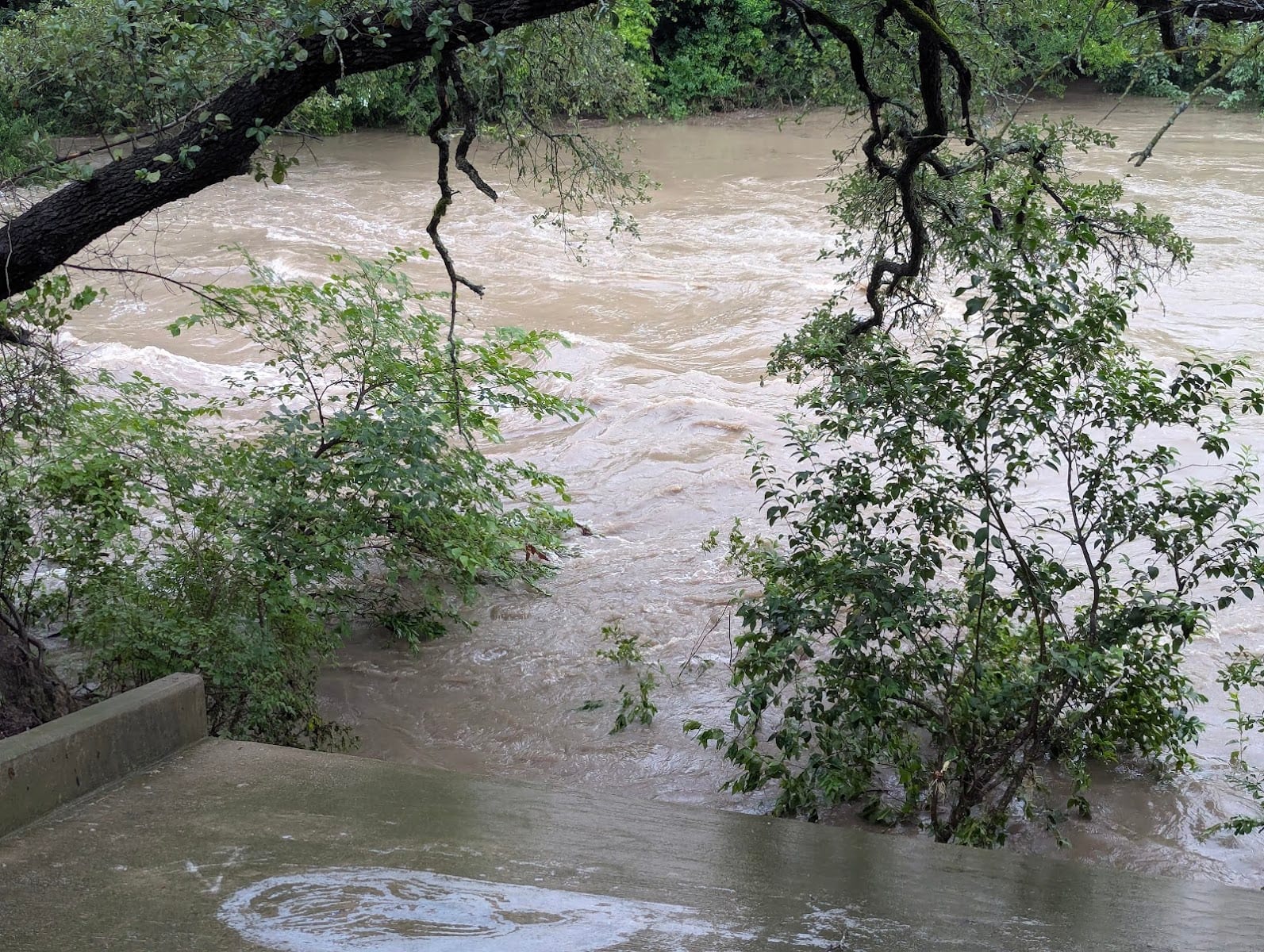 Lake Forest HOA Park