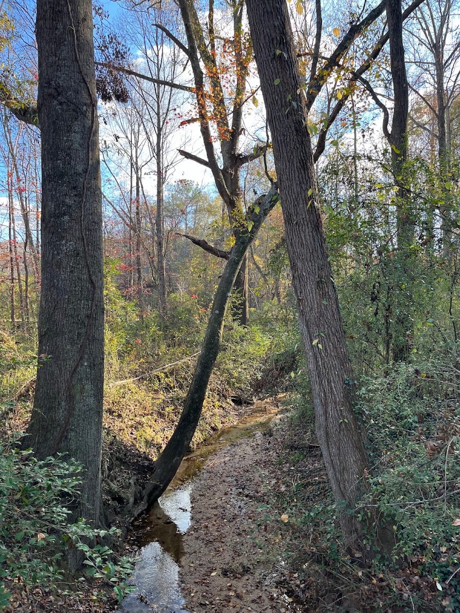 Butch Kennedy Trail Head