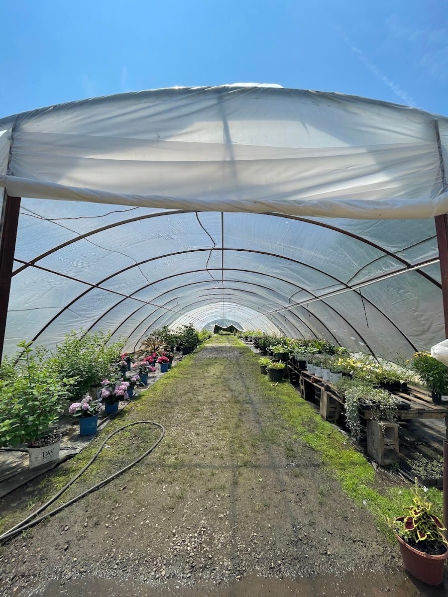Spring Hill Growers and Landscaping, photo 4