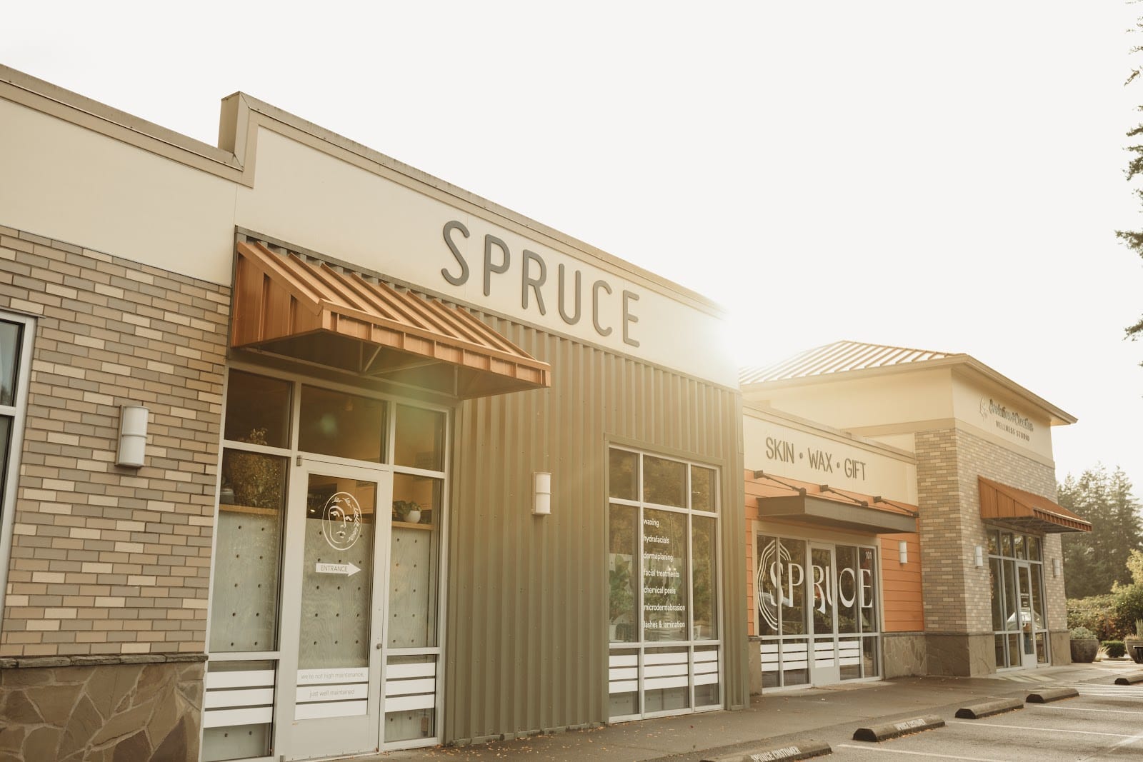 Spruce Skin & Wax Shoppe, photo 2