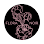 Flora + Noir Salon and Spa