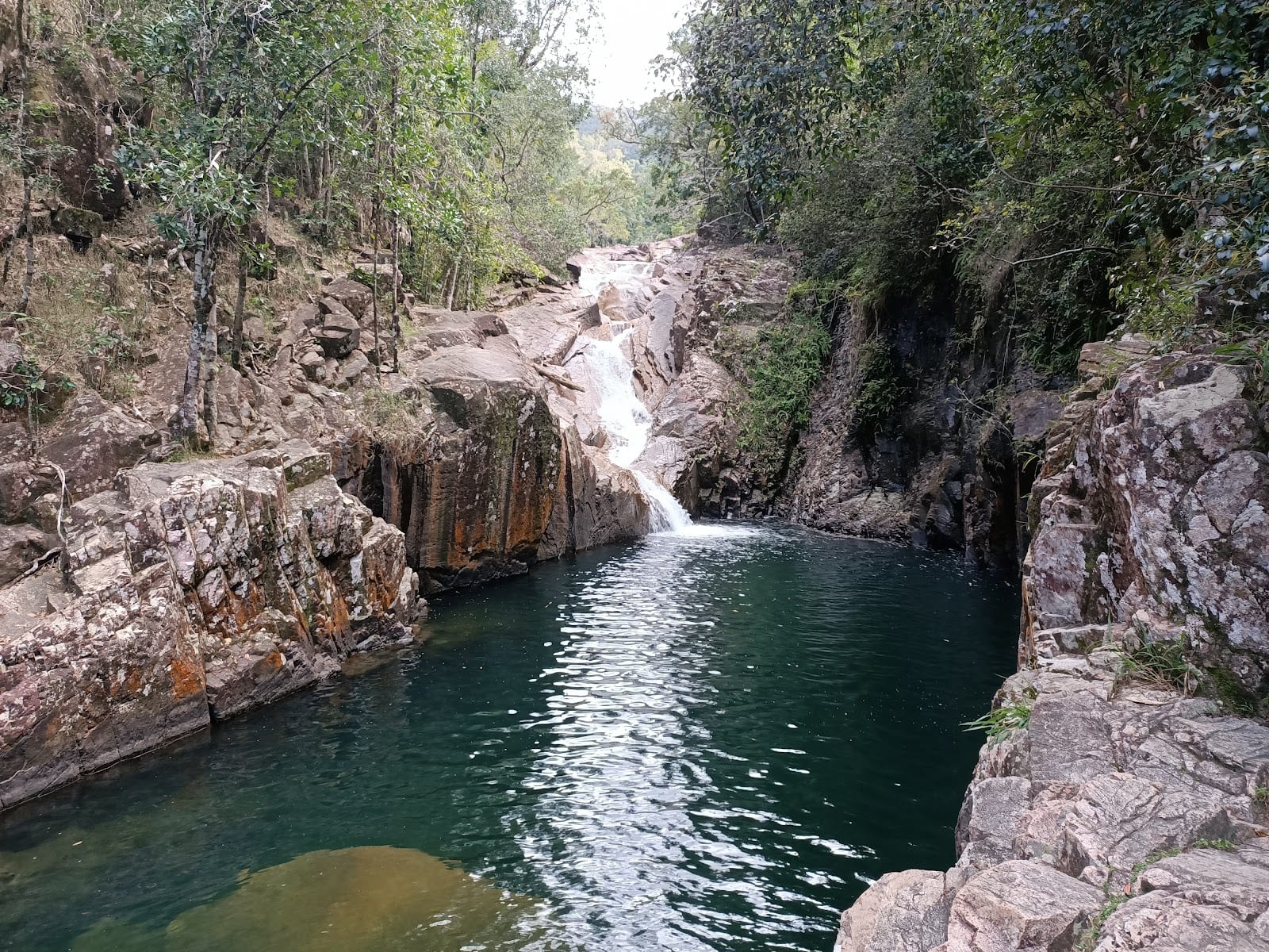 Eungella National Park