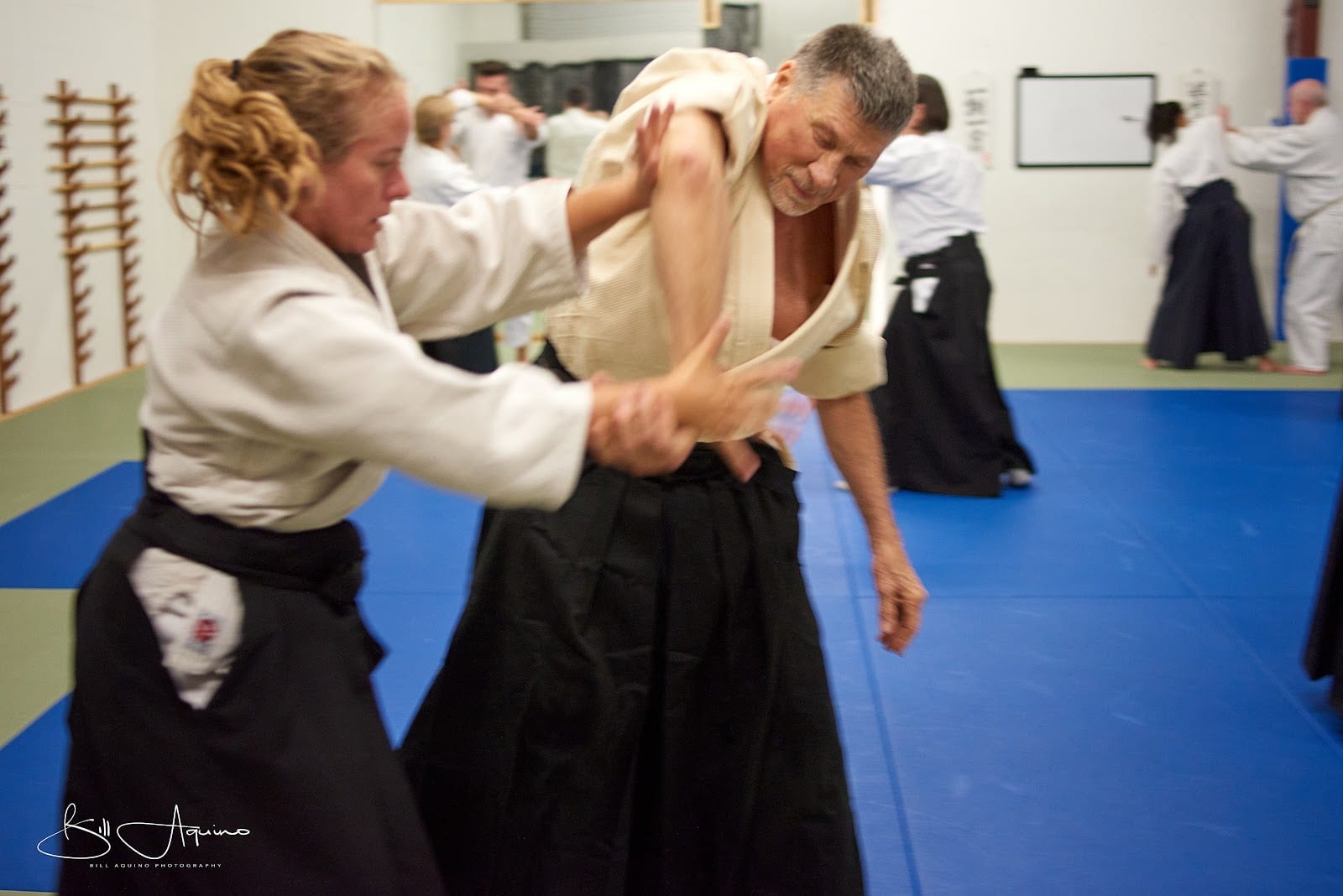 Traditional Aikido of Sarasota, photo 2