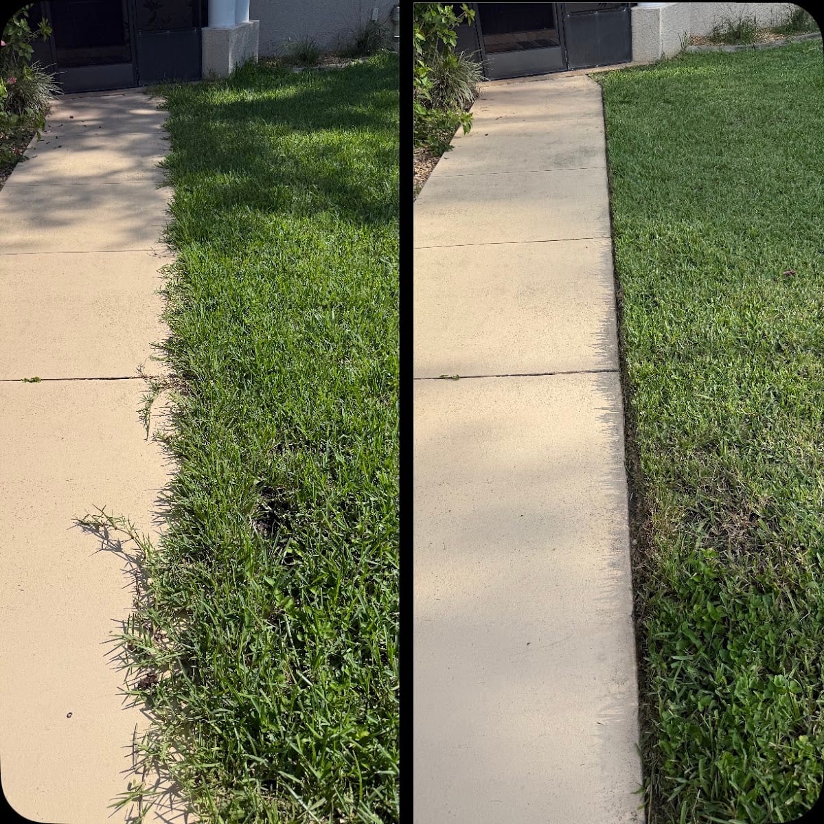 Suncoast Lawn & Landscape LLC, photo 3