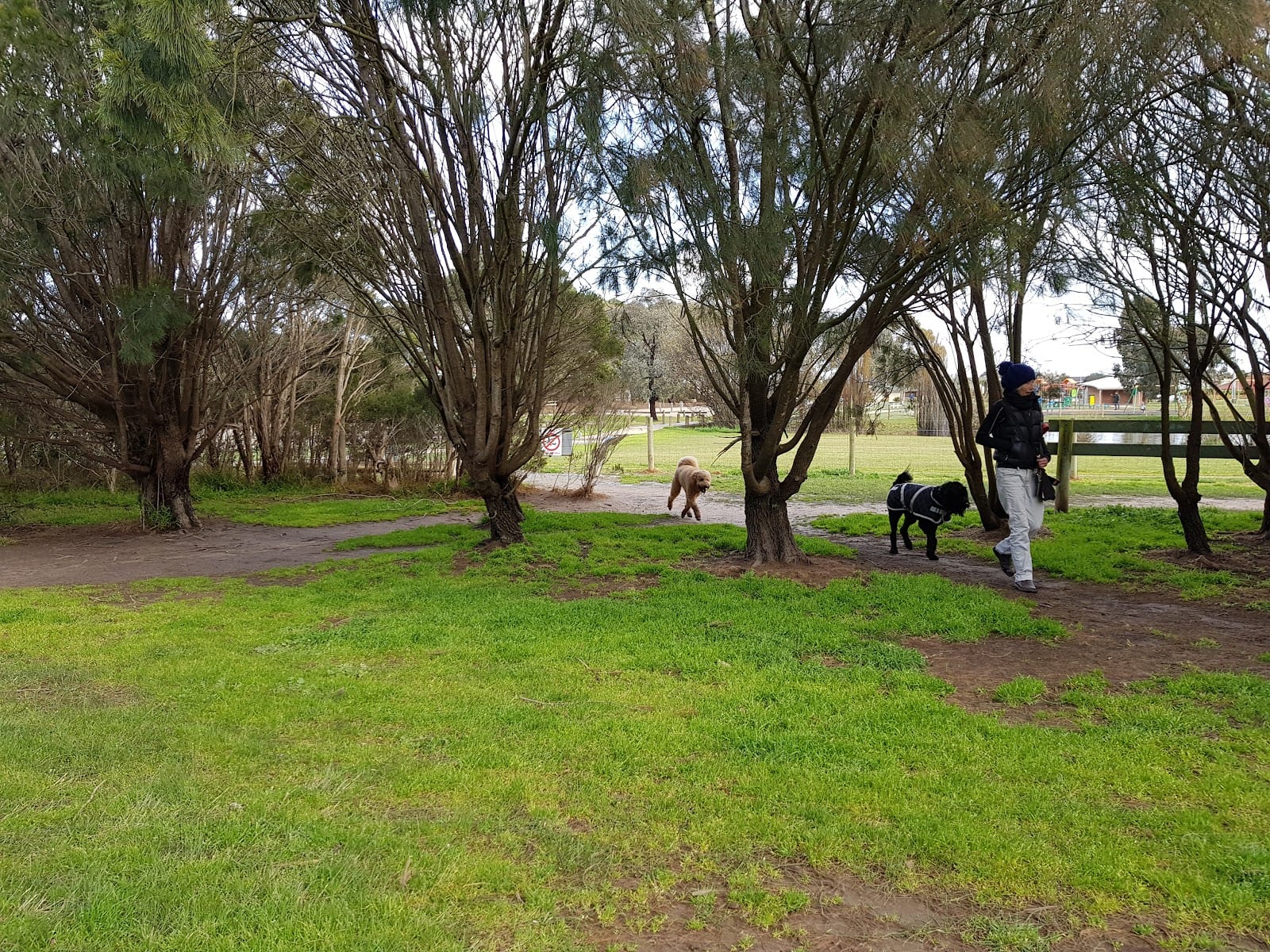 Civic Reserve Fenced Dog Park