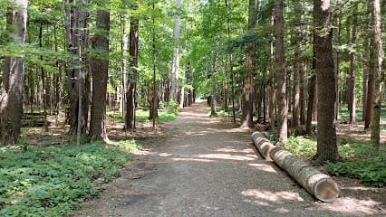 Geyser Trail - Roosevelt Bath Trailhead
